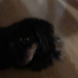 Meet your Posher, Rick